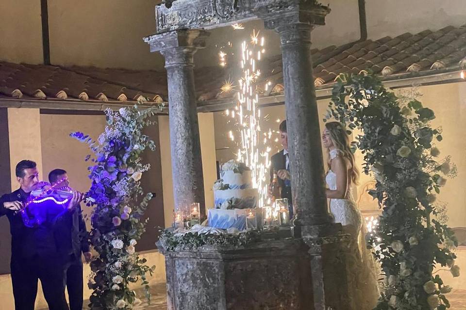 Taglio Torta Violino Luminoso
