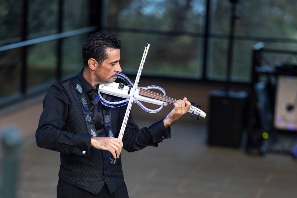 Violino Show!
