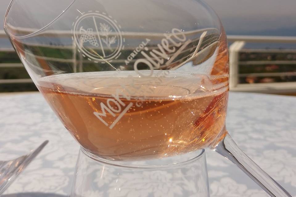 Il nostro vino