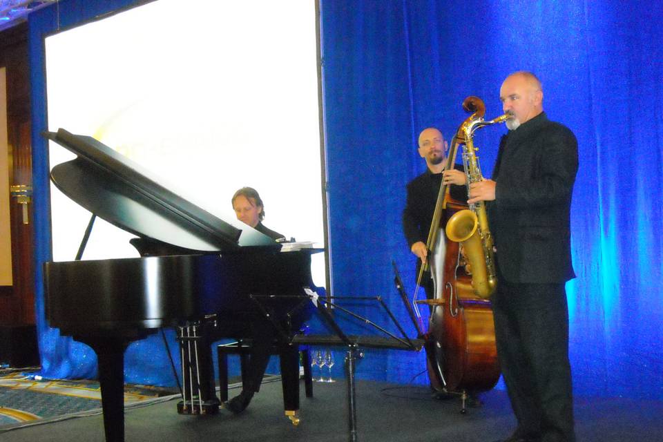 Trio jazz - hotel hilton - venezia