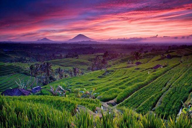 I colori di Bali