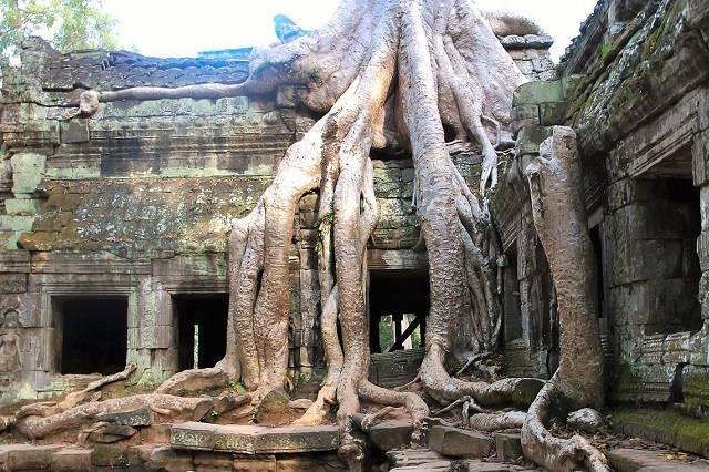Scorci di Angkor Wat