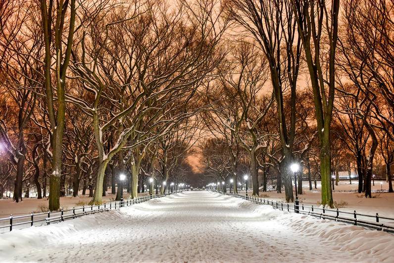 Central Park con la neve