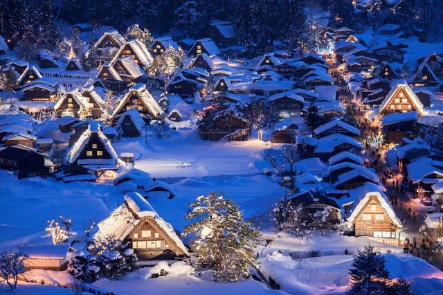 ShiraKawago, Giappone