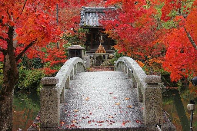 L'autunno in Giappone