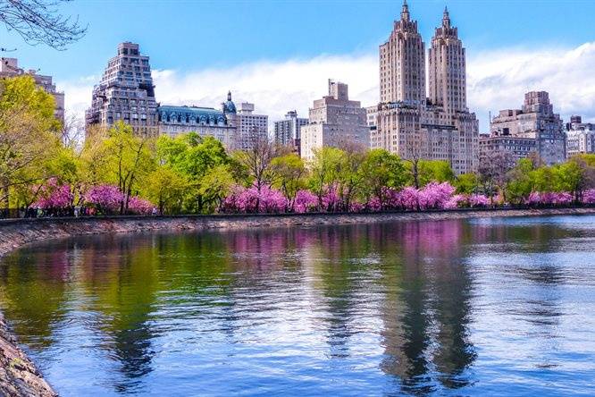 I colori della primavera a NYC