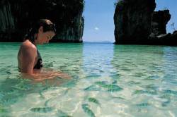 Phi Phi Island