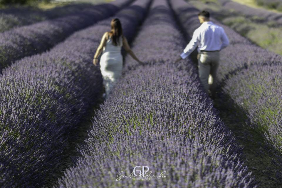 Matrimonio