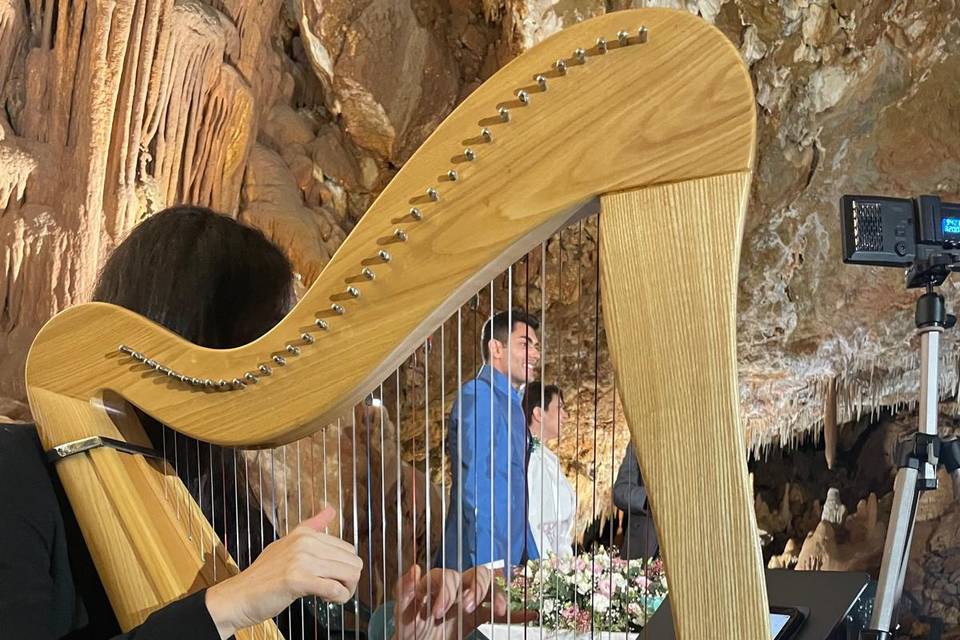 Arpa celtica