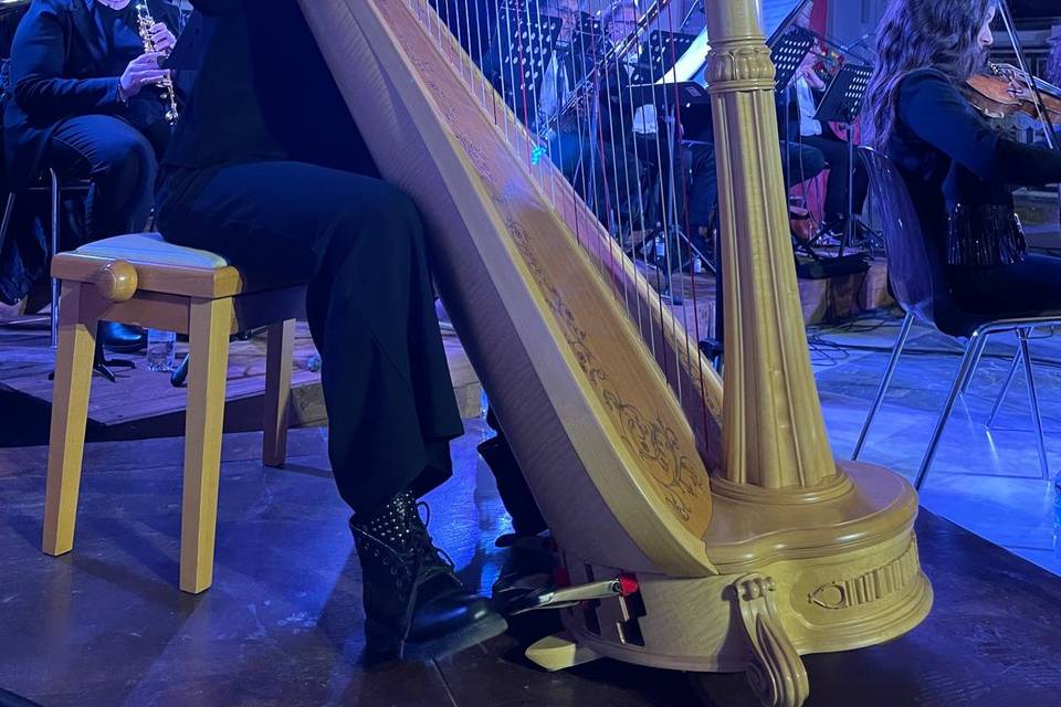 Arpa e orchestra