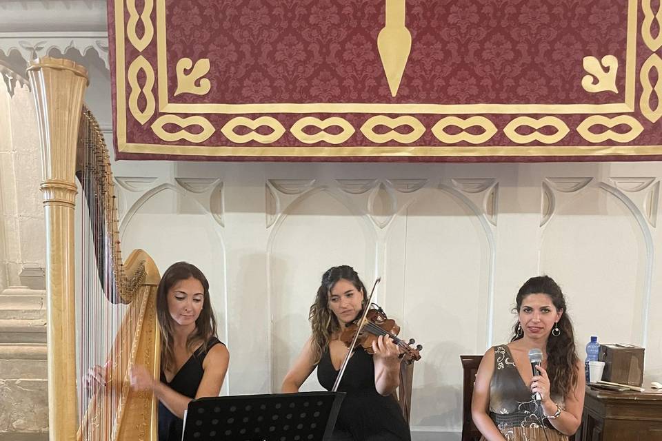 Arpa,violino e voce