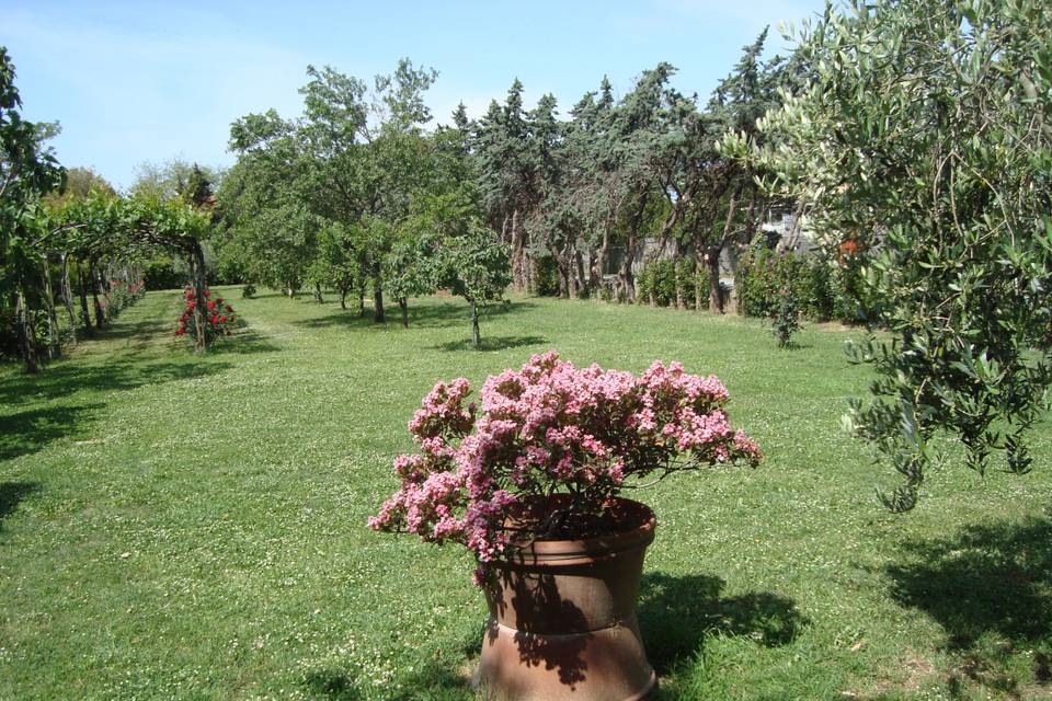 Fattoria Il Casone - La Cantina & Il Granaio