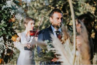 AriAri Violinist 1
