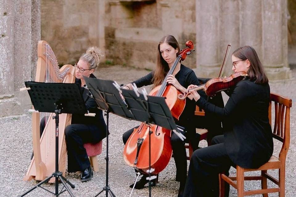 Trio violino, violoncello