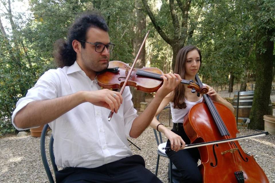 Violino e violoncello