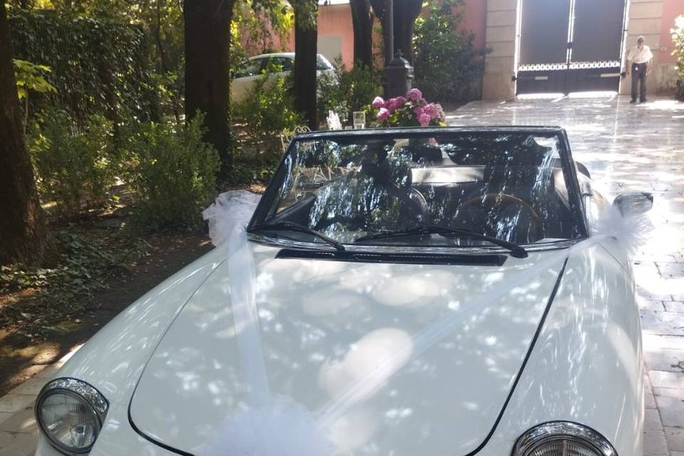 Alfa spider