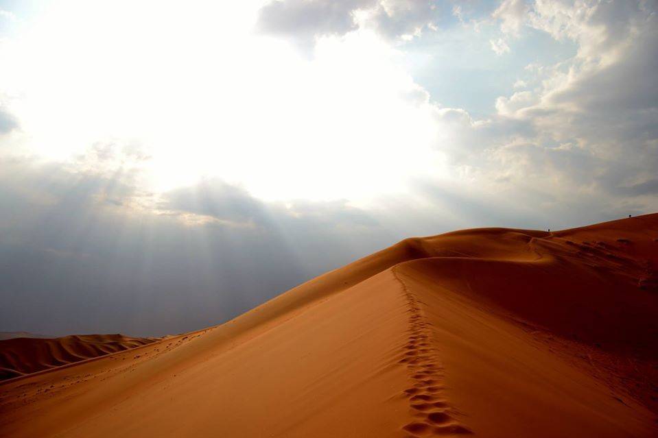 Namib Desert