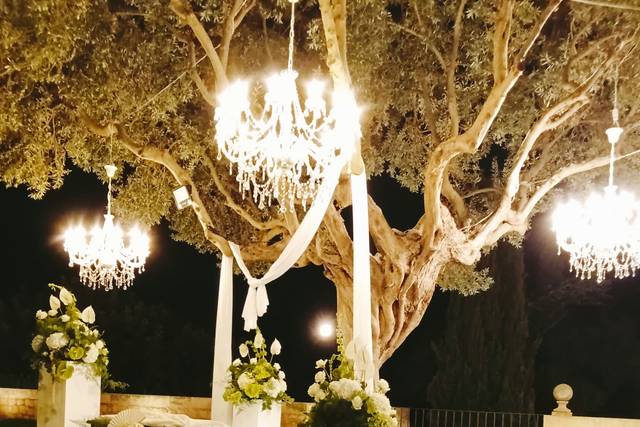 Fiori Ragusa