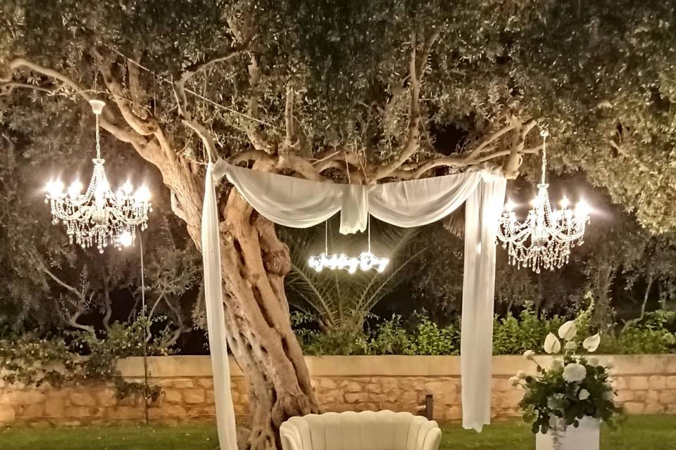 Fiori Ragusa