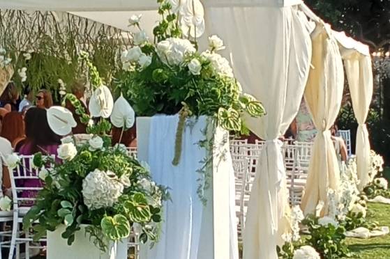 Fiori Ragusa