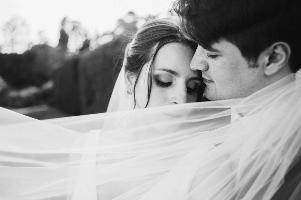 Wedding Stories