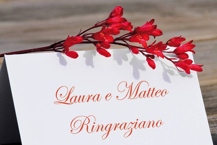 Ringraziamenti