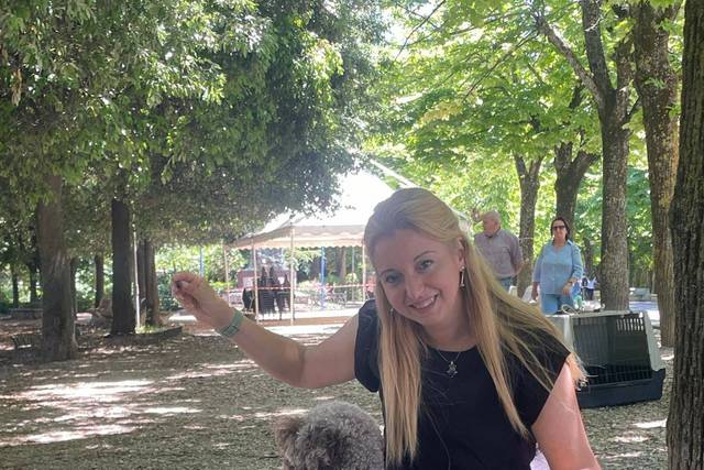 Handler in Expo Enci