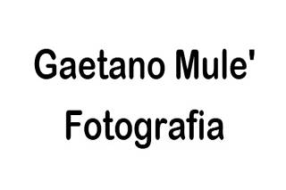 Gaetano Mule' Fotografia logo