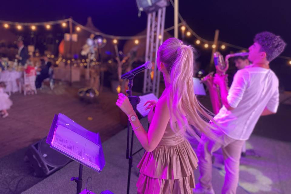 Live band in trio - wedding