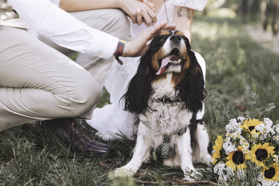 Fotografo-matrimonio-Vicenza