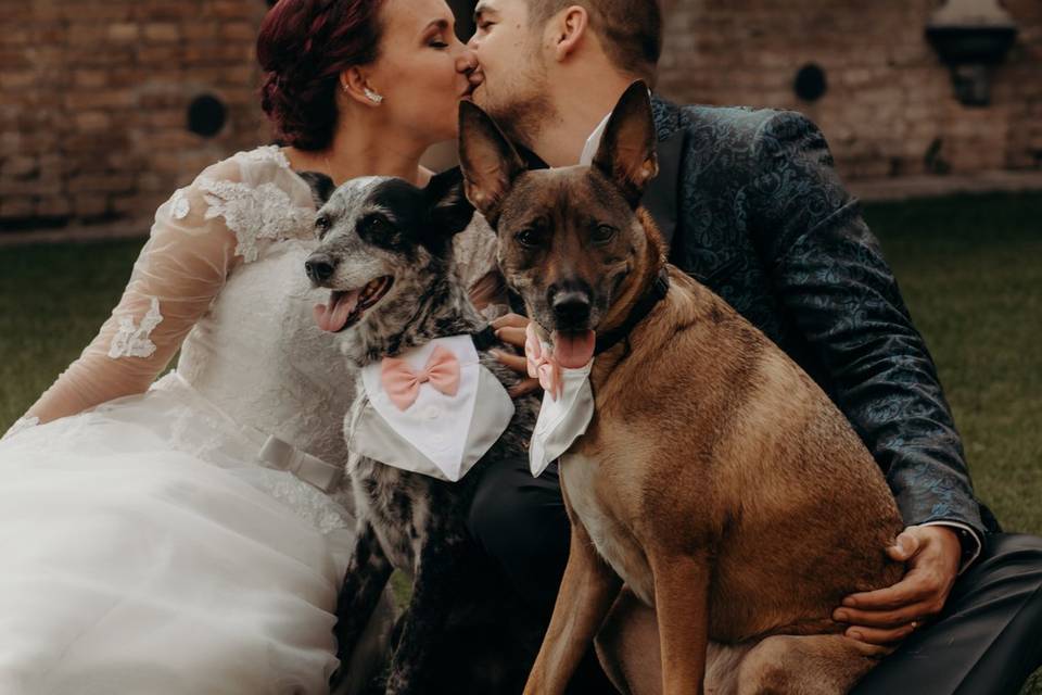 Matrimonio con cani