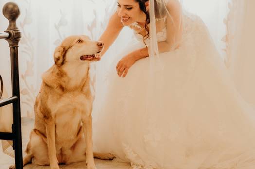 Sposa con cane