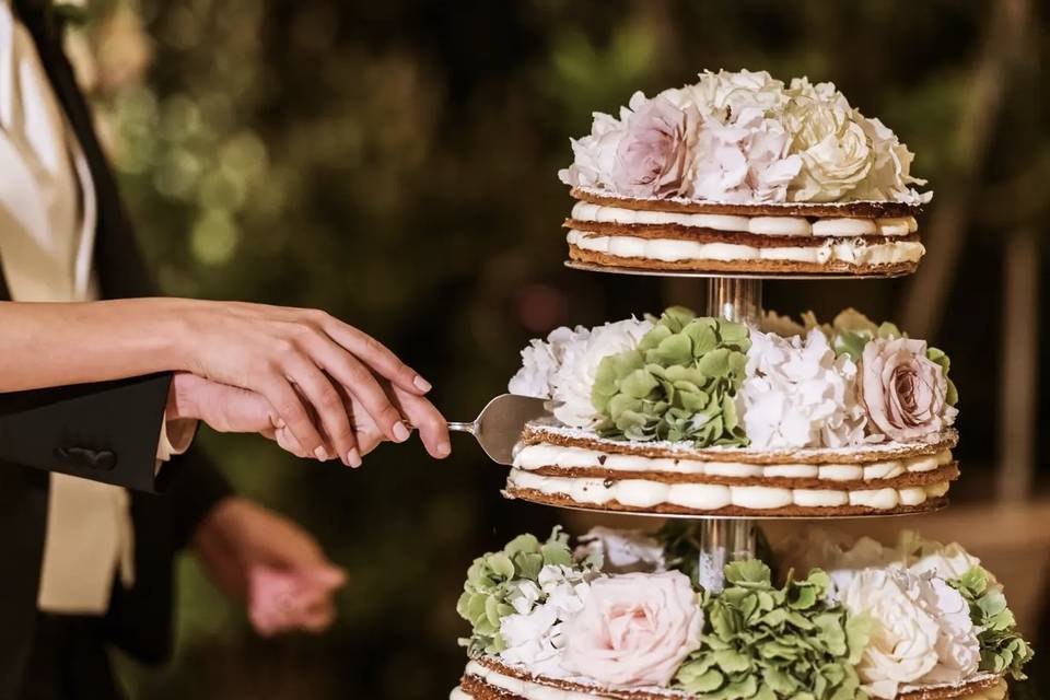 Taglio della torta