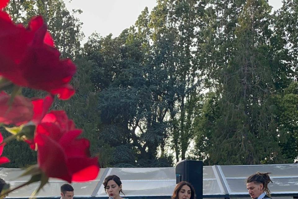 Musica eventi
