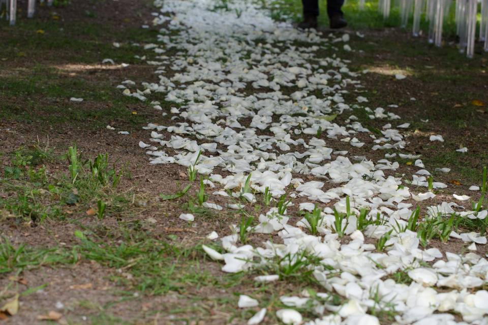 Corsia di Fiori