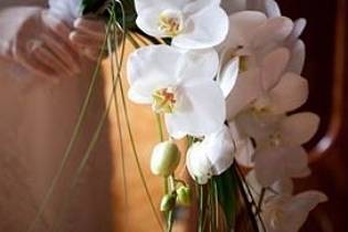 Bouquet di orchidee