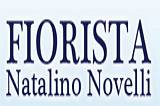 Natalino Novelli Fiorista logo