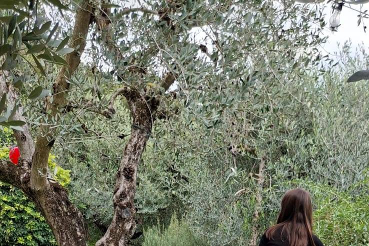 Caccia al tesoro natura