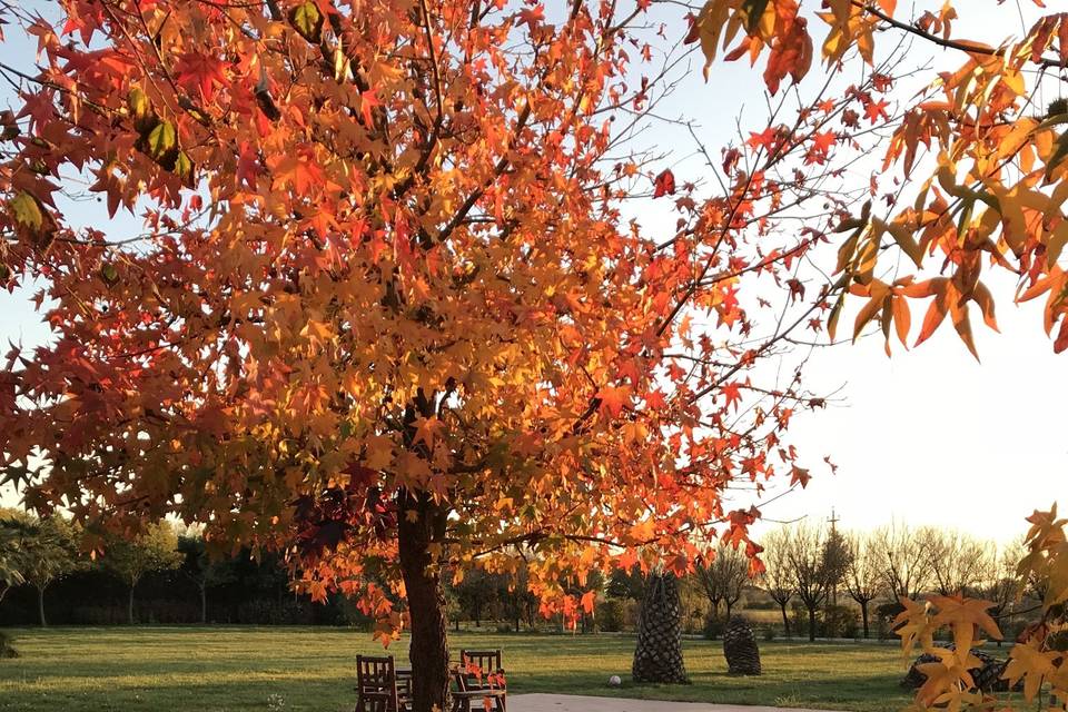 Autunno