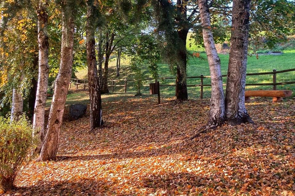 Parco Santa Teresa