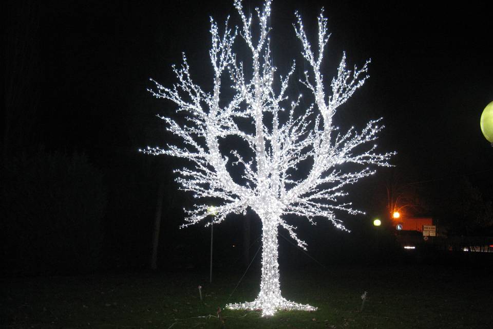 Struttura albero illuminato