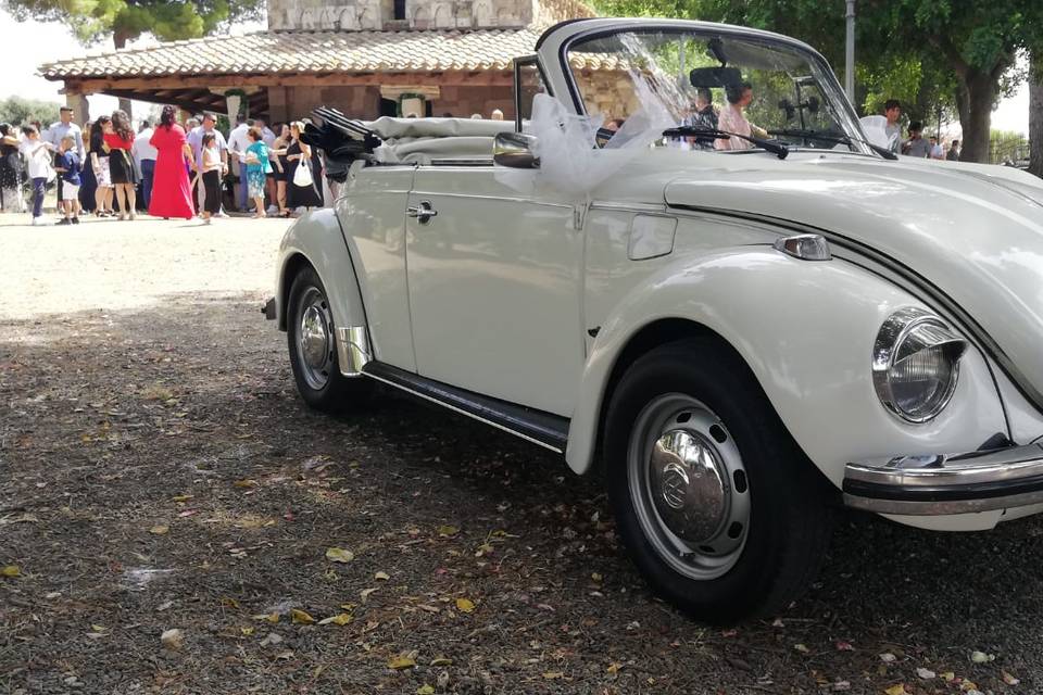 Ama Maggiolino Wedding