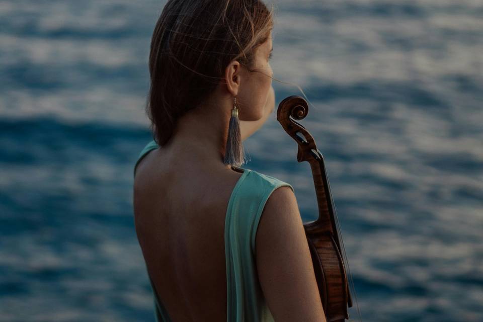 Violino