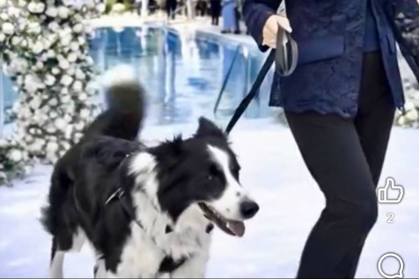 Sempre accanto a te! ♥️