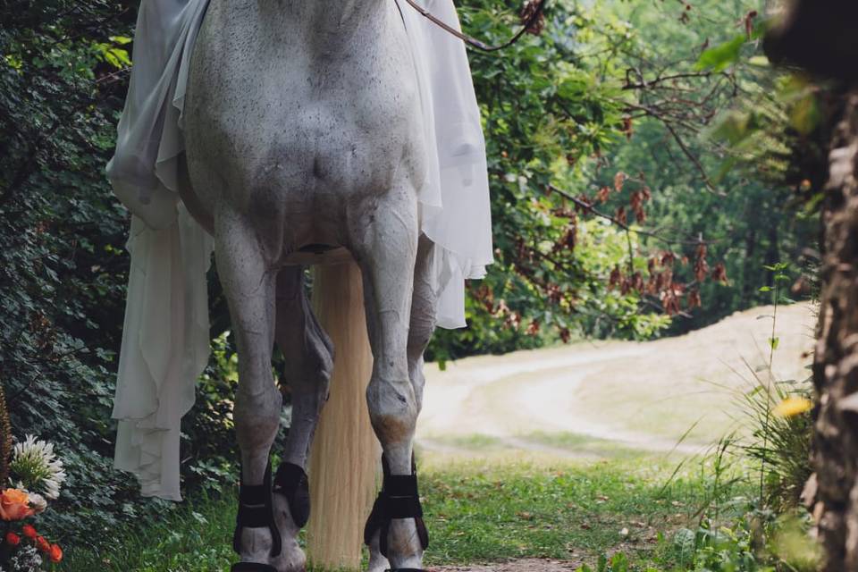 Sposa a cavallo