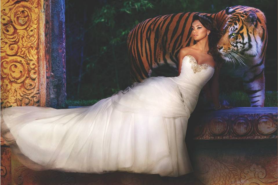 Sposa Collezione Disney