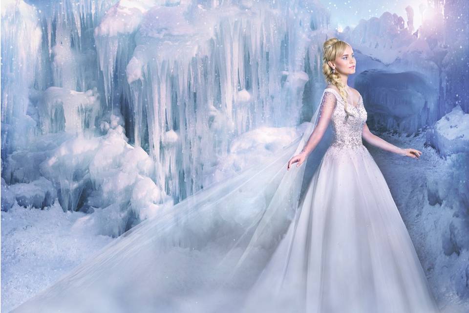 Sposa Collezione Disney