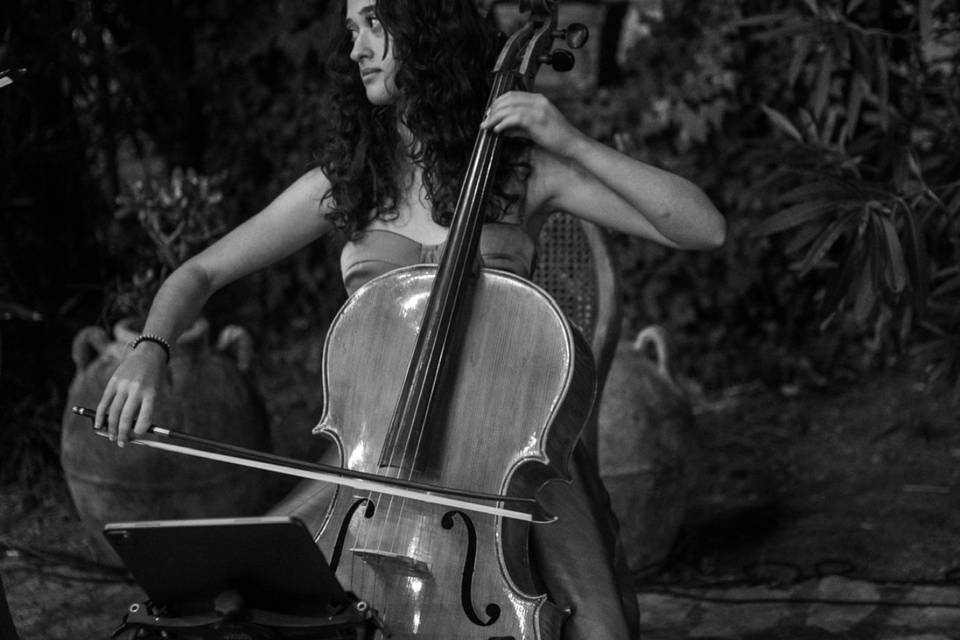 Cello