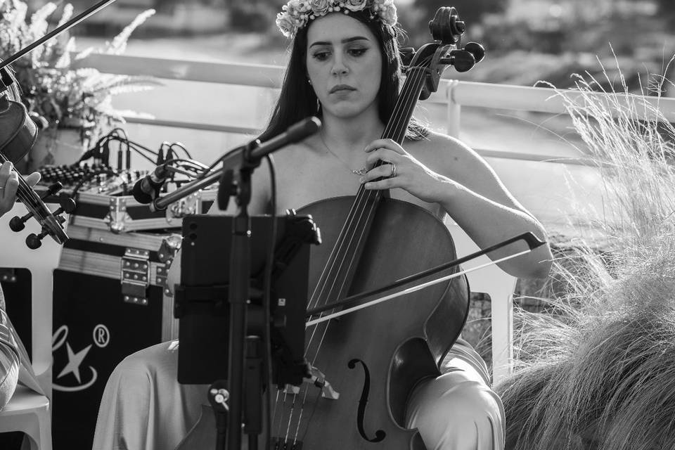 Cello