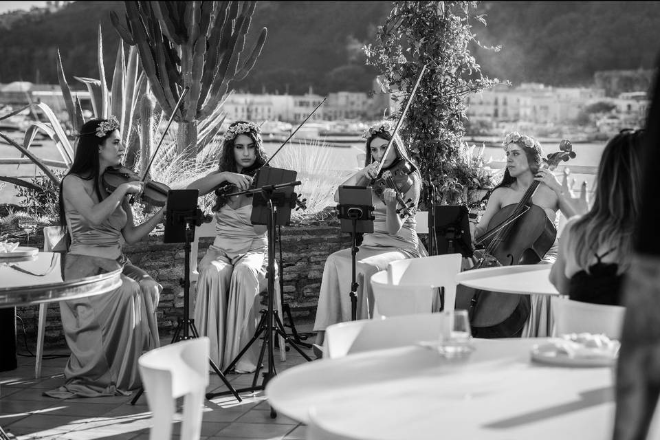 Quartetto Pop